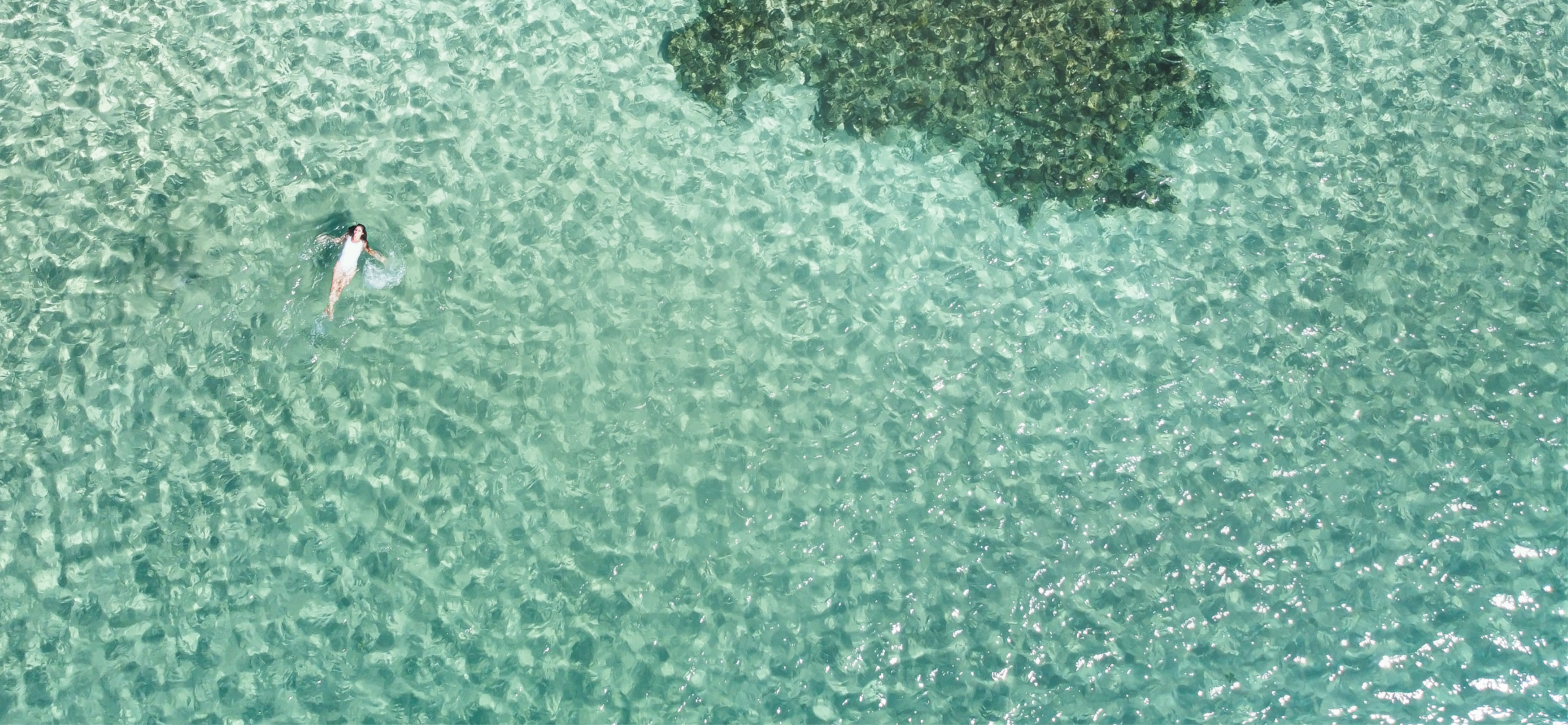 Background Section